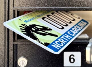 Los conductores de Carolina del Norte ahora pueden mostrar un depredador de 110 millones de años en su matrícula