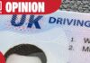 Прогресивні водійські права: необхідне розширення для безпеки дорожнього руху у Великобританії