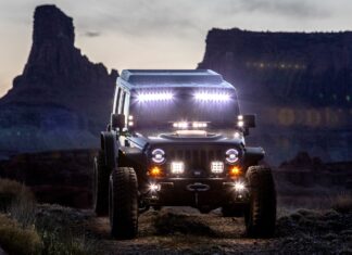 Jalur Gurun Mojave Ditutup untuk Melindungi Kura-kura Gurun