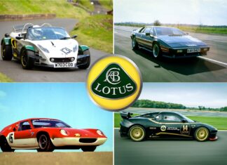 Lotus: The Hittes, The Flops, and the Rest